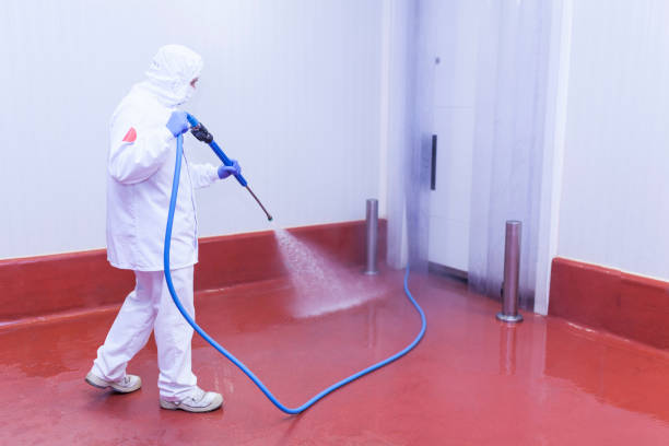 Best Roof Washing  in Alamosa, CO