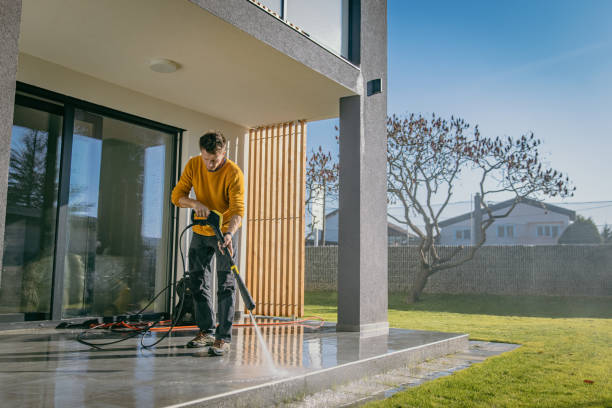 Best Fence Cleaning  in Alamosa, CO