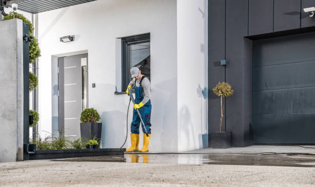  Alamosa, CO Pressure Washing Pros
