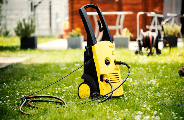 Animal Enclosure Cleaning in Alamosa, CO